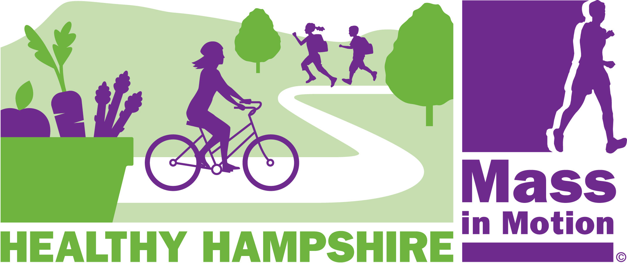 healthy-hampshire-logo
