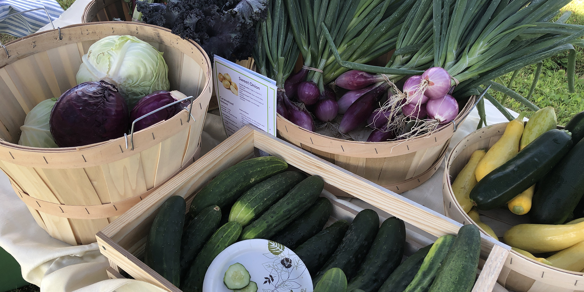 Baskets of vegetables sitting on a table. There is onions, cabbage, cucumbers and summer squash.