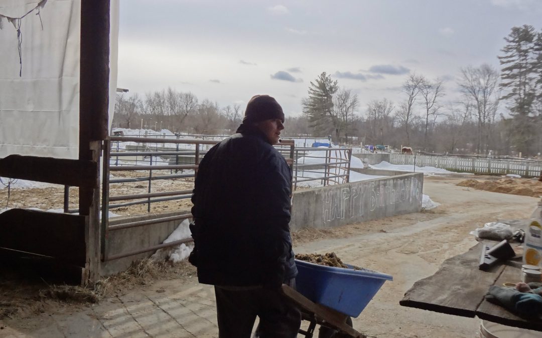 Working to Help People Grows Important life Skills