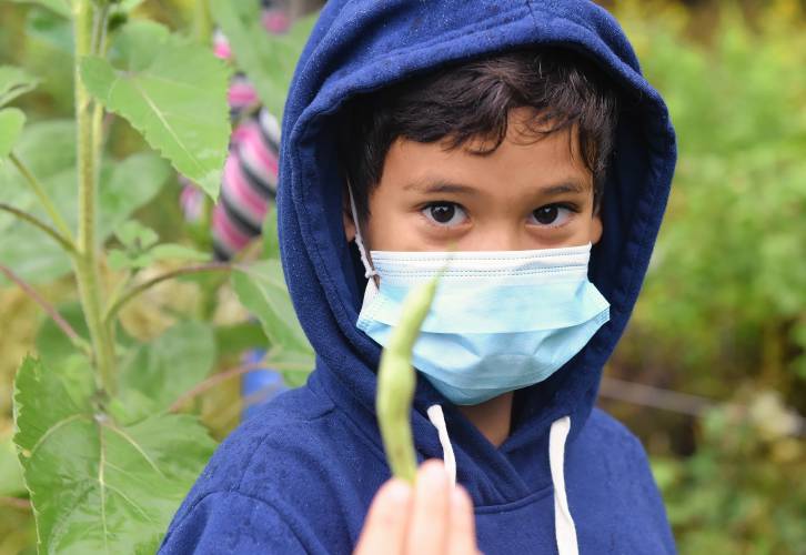 Greenfield’s Federal Street School teacher plans gardening curriculum for English language learners