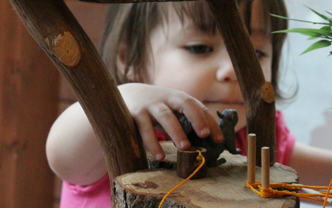 Science fun for Early Childhood CFCE families at the Hitchcock Center in Amherst